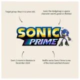 maly-plecak-3d-sonic-dziki-liczba-kieszeni-1