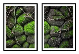 obraz-plakaty-w-ramie-53x73cm-dyptyk-komplet-2-obrazow-kamienie-mech-p2143