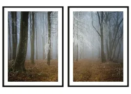 obraz-plakaty-w-ramie-53x73cm-dyptyk-komplet-2-obrazow-jesien-las-p2093