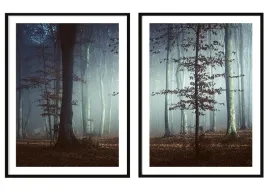 obraz-plakaty-w-ramie-53x73cm-dyptyk-komplet-2-obrazow-ciemny-las-p2091