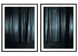 obraz-plakaty-w-ramie-53x73cm-dyptyk-komplet-2-obrazow-zakazany-las-p290