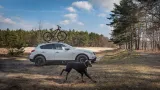taurus-bikeup-uchwyt-rowerowy-stan-nowy