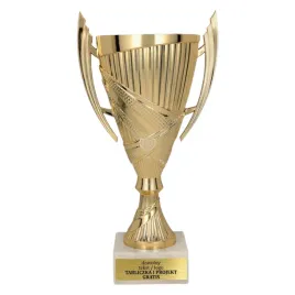 dekoracyjny-zloty-puchar-super-niska-cena-25-cm-grawer-gratis