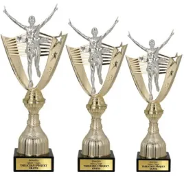 komplet-statuetek-zlotych-biegi-maraton-zawody-biegowe-personalizacja
