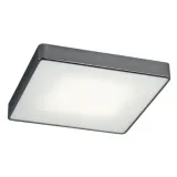 argon-653-ontario-plafon-2-pl-maly-stan-nowy