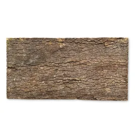 biovirgin-cork-background-dark-60x30cm-tlo-korkowe-do-terrarium