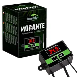 terrario-morante-termostat-terrarystyczny-z-sonda