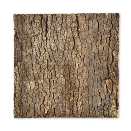 biovirgin-cork-background-dark-30x30cm-tlo-korkowe-do-terrarium