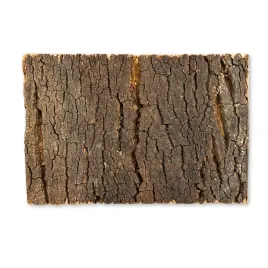 biovirgin-cork-background-dark-30x20cm-tlo-korkowe-do-terrarium
