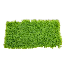mata-sztuczna-chrobotek-jasny-tlo-modulowe-do-terrarium-roslinne-50x25cm