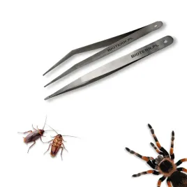 zestaw-miekka-peseta-prosta-zakrzywiona-12cm-bioterr