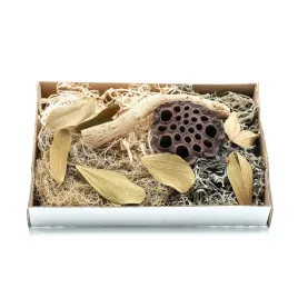 bioset-desert-zestaw-detailingowy-pustynny
