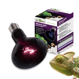 repti-zoo-moonlight-heat-35w-zarowka-nocna-grzewcza