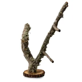 biobranch-tree-50cm-drzewko-debu-korkowego