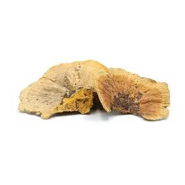 biohub-huba-naturalna-6szt-w-opakowaniu
