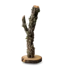 biobranch-tree-30cm-drzewko-debu-korkowego