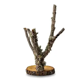 biobranch-tree-60cm-drzewko-debu-korkowego