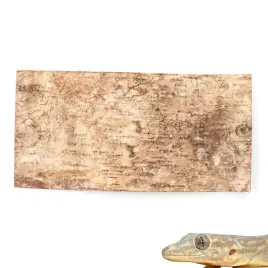 biobirch-bark-prasowana-kora-brzozy-tlo-40x20cm