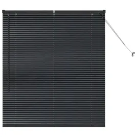 zaluzja-okienna-z-zaslonami-czarny-aluminium