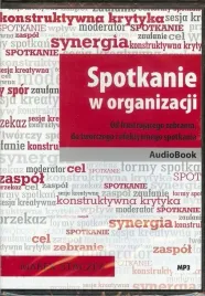 spotkanie-w-organizacji-audiobook