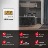 sterownik-elektrobock-pt14-p-wifi-rodzaj-sterownik