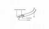 kabel-gembird-cc-satam-data-sata-sata-stan-nowy