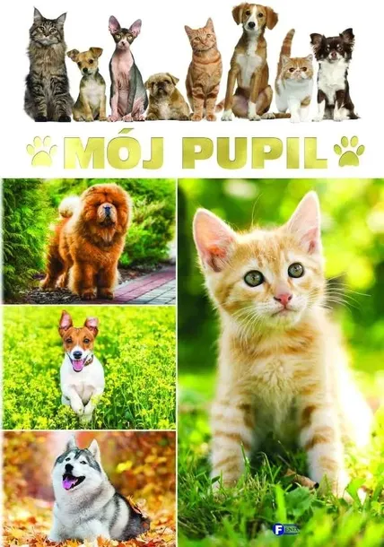 moj-pupil-tytul-moj-pupil
