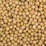 ciecierzyca-25kg-waga-25-kg