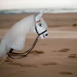 hobby-horse