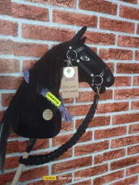 hobby-horse