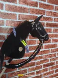hobby-horse-stan-nowy