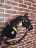 hobby-horse-kolor-dominujacy-czern