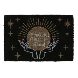 wycieraczka-z-wlokna-kokosowego-fortune-teller