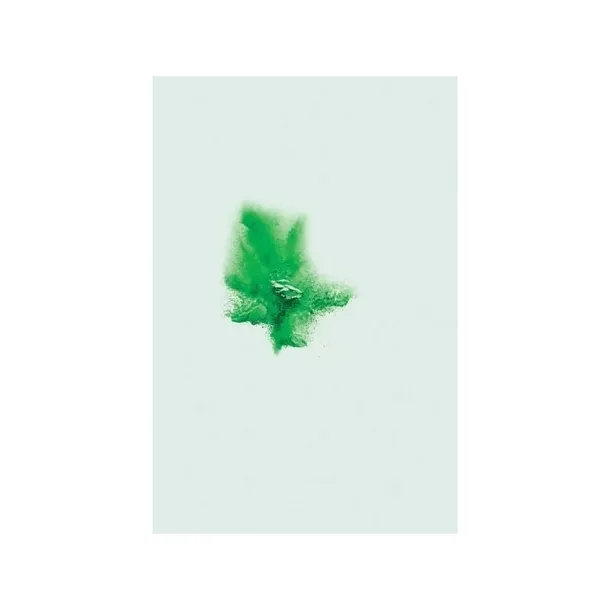 eko-chlorella-200-g-postac-proszek