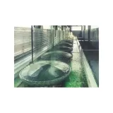 eko-chlorella-200-g-liczba-sztuk-1-szt
