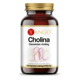 cholina-dwuwinian-choliny-560-mg-90-kaps