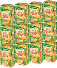 x12-herbapol-mix-mieta-z-pomarancza-i-mango-20tb
