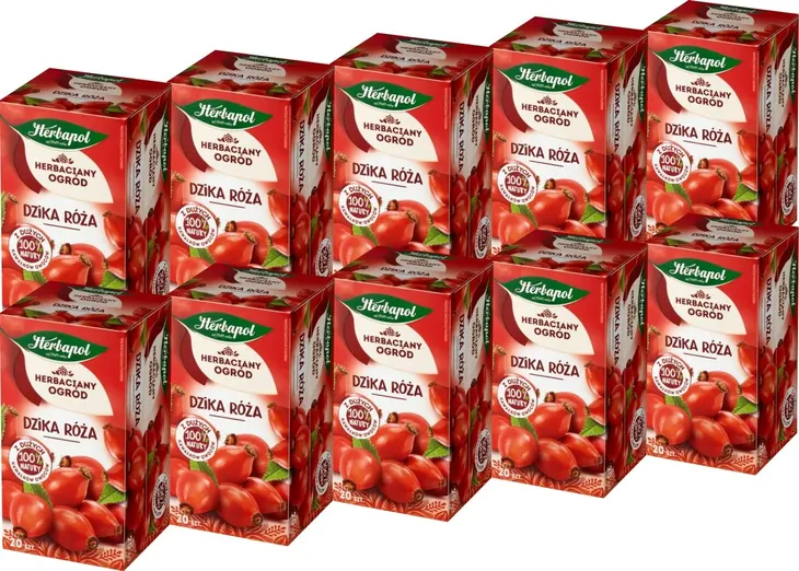 x10-herbapol-herbata-dzika-roza-20tb