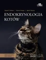 endokrynologia-kotow