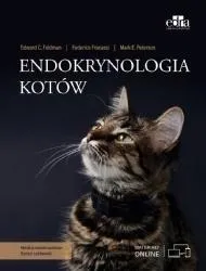 endokrynologia-kotow