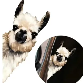 kolorowa-naklejka-grafika-na-auto-samochod-wygladajaca-lama-smieszna-15x8