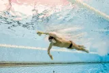 korektor-techniki-finis-forearm-fulcrum-plec-nie-dotyczy