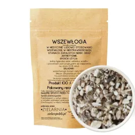 wszewloga-gorska-ciety-korzen-50g-zielarzpolski-pl