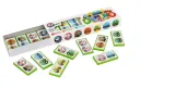 domino-auto-nazwa-domino-cars