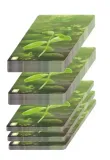 gra-lesne-rozdanie-wiek-gracza-8-11-lat-12-14-lat-15-18-lat-18