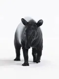 tapir-slh14850-bohater-brak