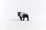 tapir-slh14850-skala-1-24