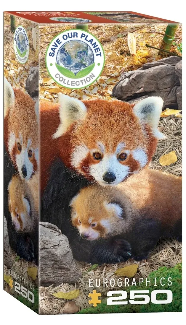 puzzle-250-red-pandas-8251-5557