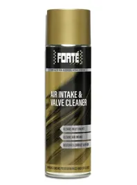forte-air-intake-and-valve-cleaner-czyszczenie-dolotu