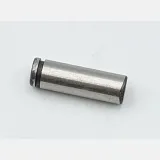 trzpien-stan-nowy